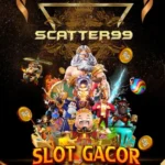 SCATTER99 : POLA GAMPANG JACKPOT MAIN SLOT ONLINE TERPOPULER