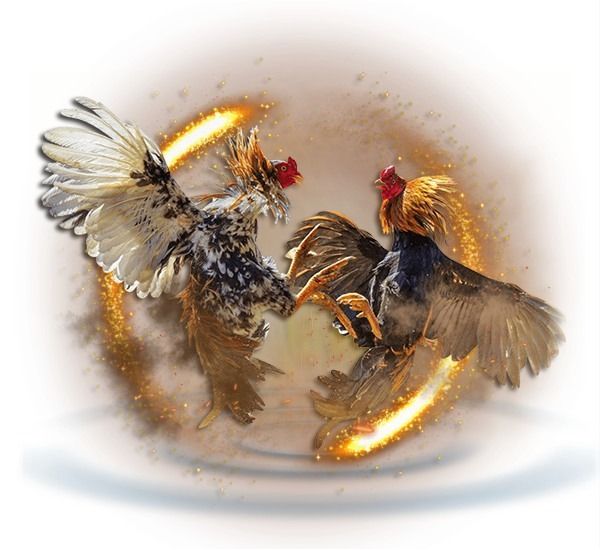 UGM138 : SITUS BERMAIN SABUNG AYAM ONLINE ARENA FILIPINA RESMI
